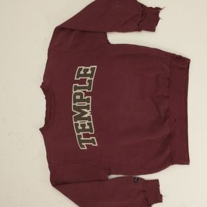Vintage Temple Sweatshirt Soft Natural Wear Thrashed Well Worn Authentic School